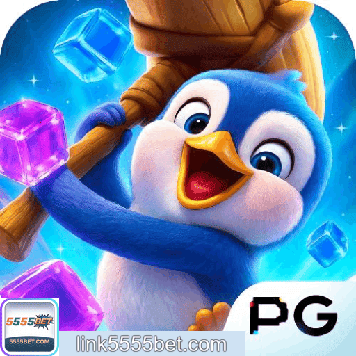 análise apostas 5555BET